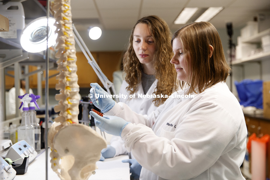 Alexandria Richardson and Sarah Romereim work on samples in Rebecca Wach's lab in Chase Hall. The Nebraska Center for Integrated Biomolecular Communication (NCIBC). November 2, 2018. Photo by Craig Chandler / University Communication.