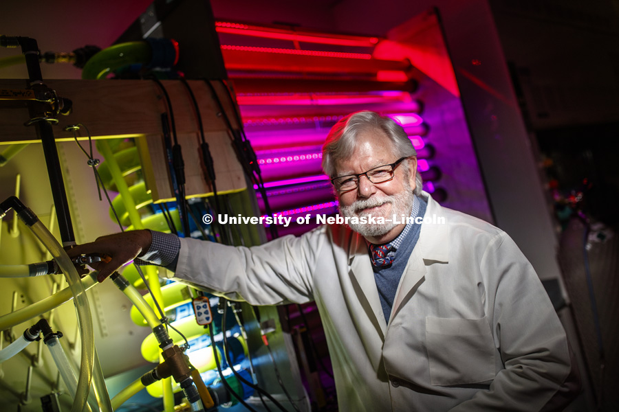 Paul Black, Charles Bessey Professor of Biological Chemistry at the University of Nebraska–Lincoln, has been named a 2018 fellow of the American Association for the Advancement of Science, the world’s largest general scientific society. He is now researching a method using algae and certain wavelengths of light to remove nitrates from ground water. November, 28, 2018. Photo by Craig Chandler / University Communication.