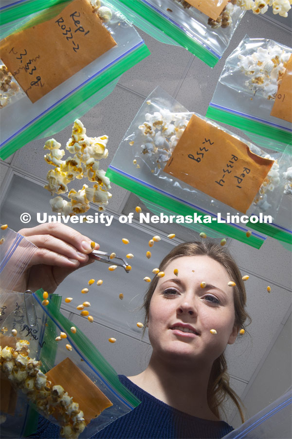 David Holding, Associate Professor in Agronomy and Horticulture, and graduate student Leandra Marshall study the popped results of a new line of popcorn high in protein in in his lab in the Beadle Center. January 30, 2019. Photo by Craig Chandler / University Communication.