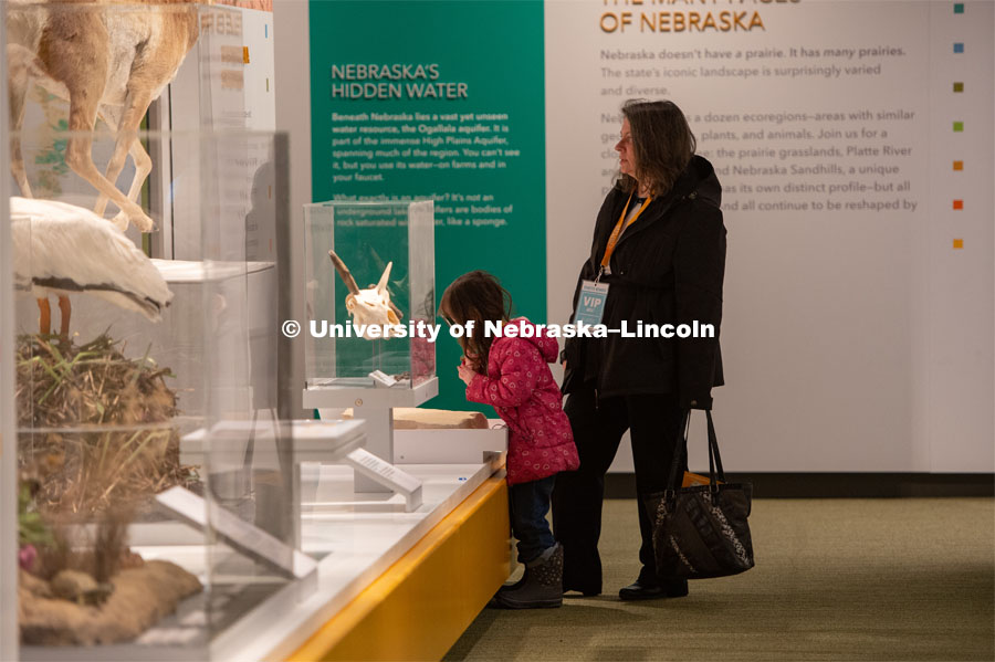 Guests enjoyed the new exhibits at the Cherish Nebraska exhibit, which will open to the public on Saturday, February 16 in the University of Nebraska State Museum in Morrill Hall. The new exhibit spaces celebrate Nebraska's natural heritage - the diversity of life that has been shaped over the millennia by Nebraska's changing environments. February 12, 2019. Photo by Justin Mohling / University Communication.