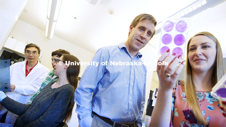 Nebraska's Matt Wiebe (second from right) and Annabel Olson (far right) examine viral cultures alongside colleagues Zhigang Wang (far left), Amber Rico (second from left) and Allie Linville. March 4, 2019.  Photo by Craig Chandler / University Communication.