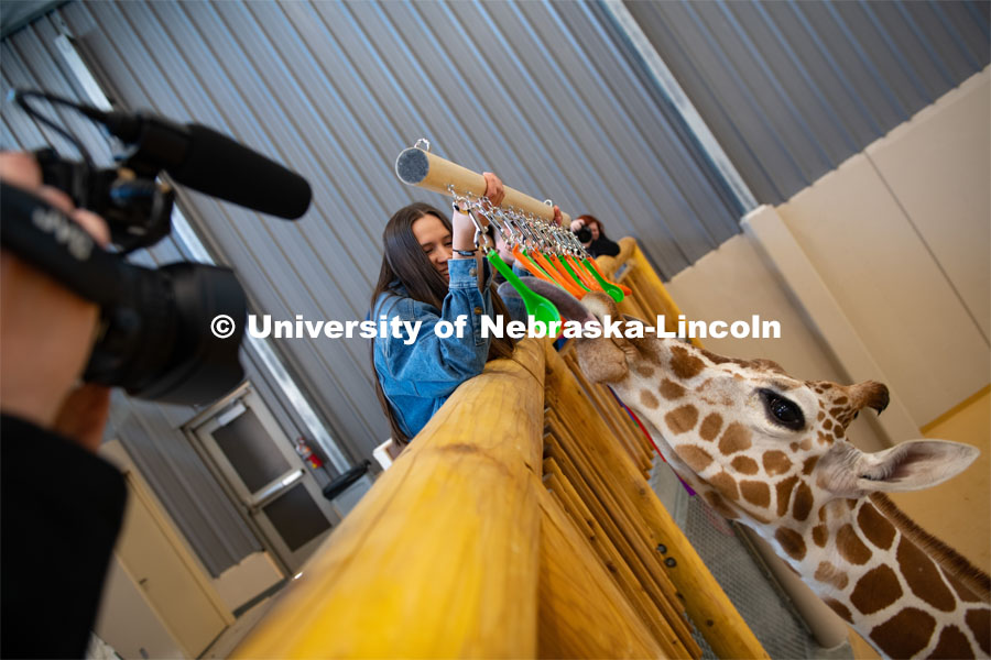 Zoe Jirovsky, a member of the University of Nebraska-Lincoln's Theme Park Design Group, shows Phoebe the giraffe a new spoon feeder toy, designed and built by the student organization. April 2, 2019. Photo by Gregory Nathan / University Communication.