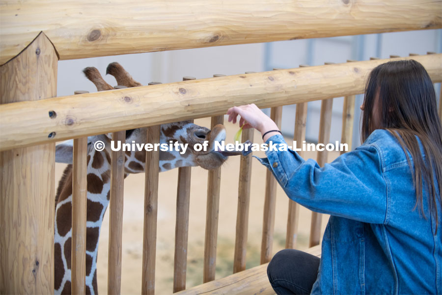 Theme Park Design Group Pin Hao Cheng, Garrett Brockman, John Strope, Brennan Sanders, Kylee Hauxwell, Awang Hashim and Zoe Jirovsky, delivered the enrichment toys for Lincoln Children’s Zoo’s three giraffes. April 2, 2019. Photo by Gregory Nathan / University Communication.