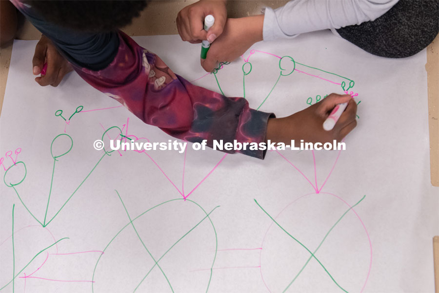 After-school activities are being developed by University of Nebraska-Lincoln researchers to introduce network science to middle-school youth. A new research and outreach program is engaging middle-school youth with science in novel ways, with the aim of increasing curiosity and interest in health careers. Worlds of Connections. April 3, 2019. Photo by Greg Nathan / University Communication