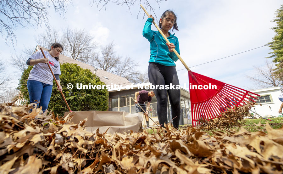 Selene Ramirez, right, and Leslie Estrada rake up a backyard in south Lincoln. She and others in the Minority Pre-Health Association painted a shed and cleaned up a yard at their job site. More than 2,500 University of Nebraska–Lincoln students, faculty and staff volunteered for the Big Event on April 6, completing service projects across the community. Now in its 13th year at Nebraska, the Big Event has grown to be the university's single largest student-run community service project. April 6, 2019. Photo by Craig Chandler / University Communication.