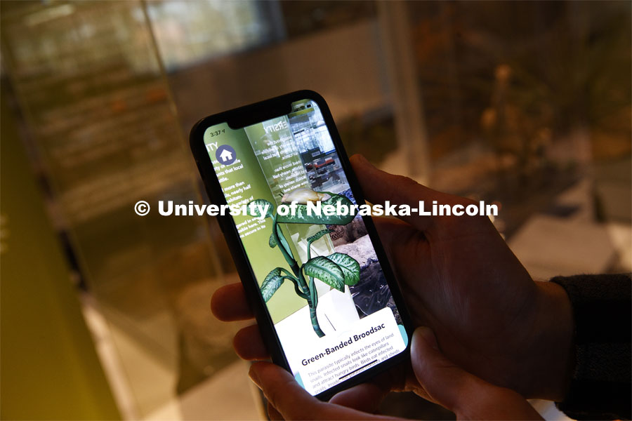 Computer Science and Engineering students built a VR app to enhance the information at the Nebraska State Museum's new Cherish Nebraska exhibit. April 16, 2019. Photo by Craig Chandler / University Communication.