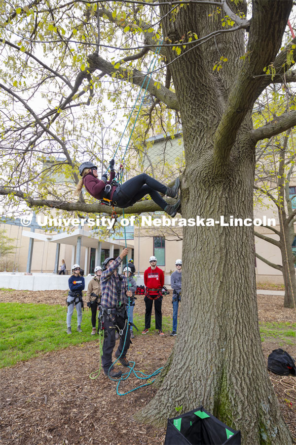 Students in Eric North's NRES 321 - Arboriculture: Maintenance and Selection of Landscape Trees learn to climb on an oak tree behind Hardin Hall Monday afternoon. April 22, 2019. Photo by Craig Chandler / University Communication.