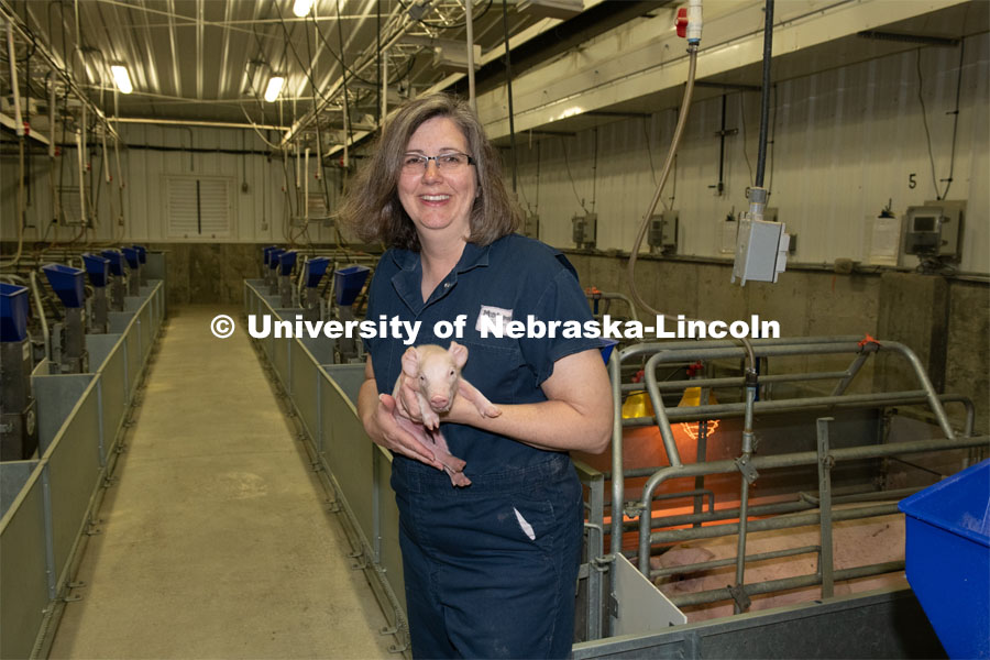 Tami Brown-Brandl, professor in the Department of Biological Systems Engineering at the University of Nebraska–Lincoln, uses an engineering approach to research ways technology can improve production agriculture. Her work is termed “precision animal management” and according to Brown-Brandl, Nebraska leads the United States in this work. Photo for the 2019 publication of the Strategic Discussions for Nebraska magazine. June 13, 2019, Photo by Gregory Nathan / University Communication.