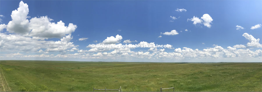 Panoramic view of the Nebraska Sandhills. June 16, 2019. Photo by Greg Nathan / University Communication.