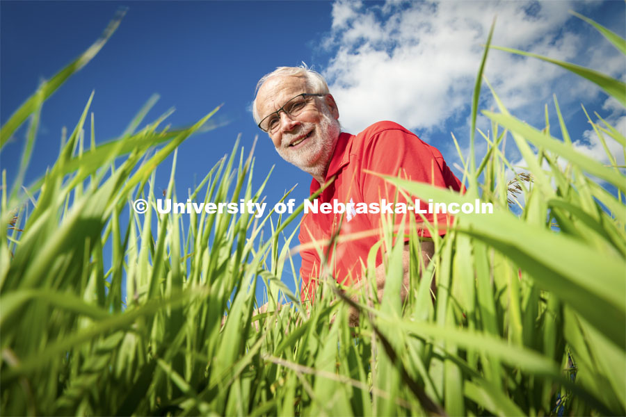 Walter Schacht, professor in Department of Agronomy and Horticulture at the University of Nebraska–Lincoln takes a look at the roots of grass at Nine Mile Prairie. Photo for the 2019 publication of the Strategic Discussions for Nebraska magazine. July 1, 2019, Photo by Gregory Nathan / University Communication.