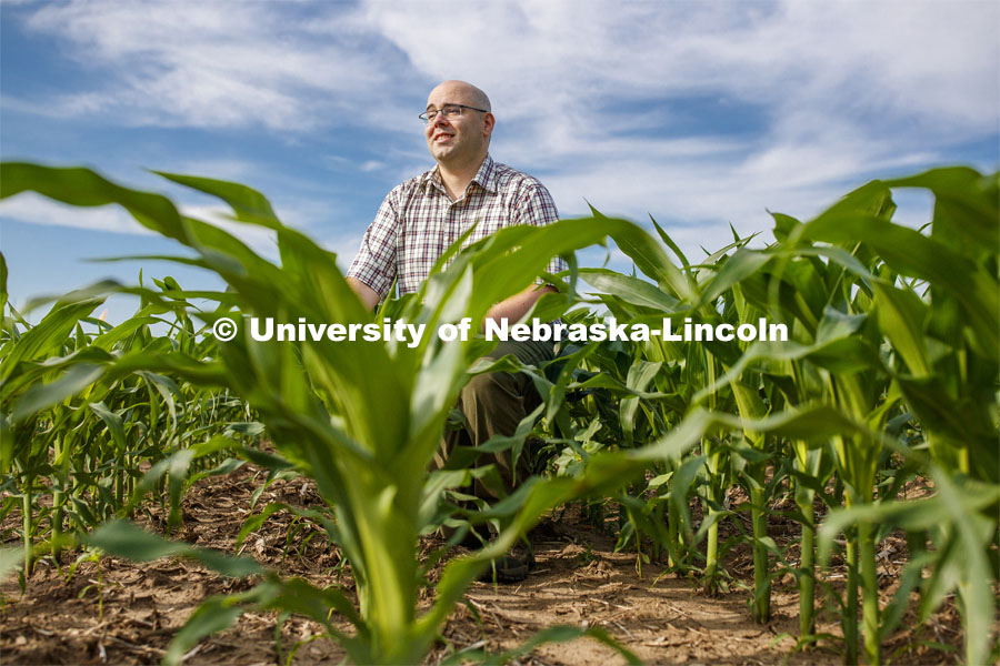 James Schnable, Assistant Professor of Agronomy and Horticulture, is sequencing crop DNA in corn to make it adapt to more specific climates. Photo used for 2018-2019 Annual Report on Research at Nebraska. July 2, 2019. Photo by Craig Chandler / University Communication.