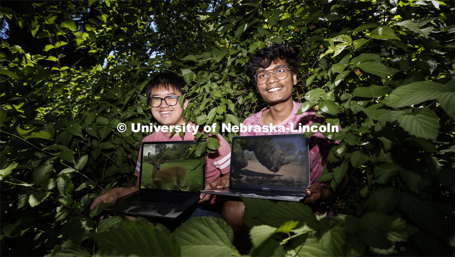 Brian Chong, left, and Rahul Prajapati, right, are using deep learning technology to automatically identify, count and track the behavior of animals in trail camera images. July 10, 2017. Photo by Craig Chandler / University Communication.