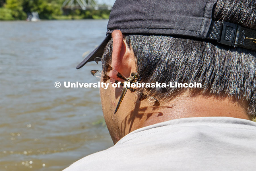 A dragonfly alights on Matthew Chen. Jessica Corman, assistant professor in the School of Natural Resources, UCARE research group researching algae in the Niobrara River. Fort Niobrara National Wildlife Refuge. July 12, 2019. Photo by Craig Chandler / University Communication.