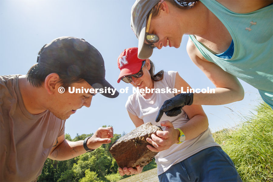 Jessica Corman, assistant professor in the School of Natural Resources, discusses a rock teaming with aquatic life with Matthew Chen and Kayla Vondracek. Jessica Corman, assistant professor in the School of Natural Resources, UCARE research group researching algae in the Niobrara River. Fort Niobrara National Wildlife Refuge. July 12, 2019. Photo by Craig Chandler / University Communication.