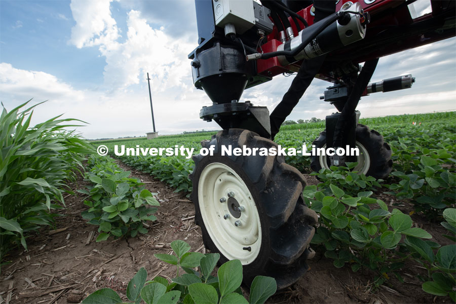 Santosh Pitla, associate professor of advanced machinery systems in the Department of Biological Systems Engineering at the University of Nebraska–Lincoln, is currently developing an autonomous tractor using ground robotics. Pitla and his team are testing their driverless tractor at the Agricultural Research and Development Center (ARDC, MEAD). The autonomous tractors are named Flexible Structured Robotic Vehicle (FlexRo), the tractor is currently used for plant phenotyping, which is measuring the physical characteristics of the plant. According to Pitla, cameras are added to the machine to collect images that characterize plant conditions. Photo for the 2019 publication of the Strategic Discussions for Nebraska magazine. July 17, 2019, Photo by Gregory Nathan / University Communication. 