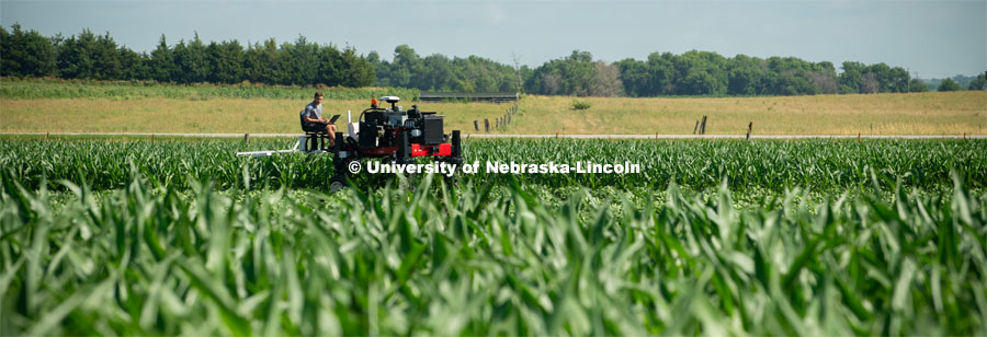 Santosh Pitla, associate professor of advanced machinery systems in the Department of Biological Systems Engineering at the University of Nebraska–Lincoln, is currently developing an autonomous tractor using ground robotics. Pitla and his team are testing their driverless tractor at the Agricultural Research and Development Center (ARDC, MEAD). The autonomous tractors are named Flexible Structured Robotic Vehicle (FlexRo), the tractor is currently used for plant phenotyping, which is measuring the physical characteristics of the plant. According to Pitla, cameras are added to the machine to collect images that characterize plant conditions. Photo for the 2019 publication of the Strategic Discussions for Nebraska magazine. July 17, 2019, Photo by Gregory Nathan / University Communication. 