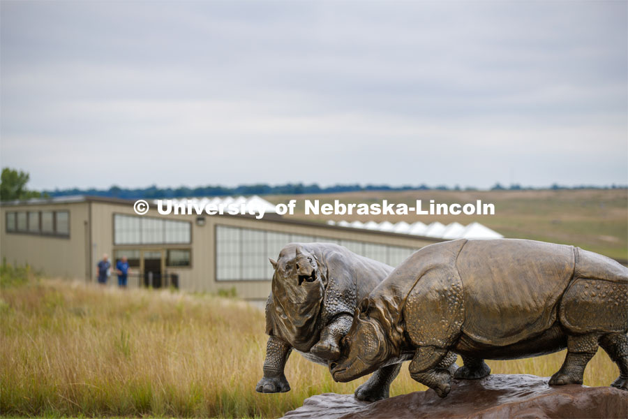 Ashfall rhinos, a sculpture by artist Gary Staab welcomes visitors to Ashfall Fossil Beds State Historical Park. Ashfall Fossil Beds State Historical Park in north central Nebraska. August 2, 2019. Photo by Craig Chandler / University Communication.