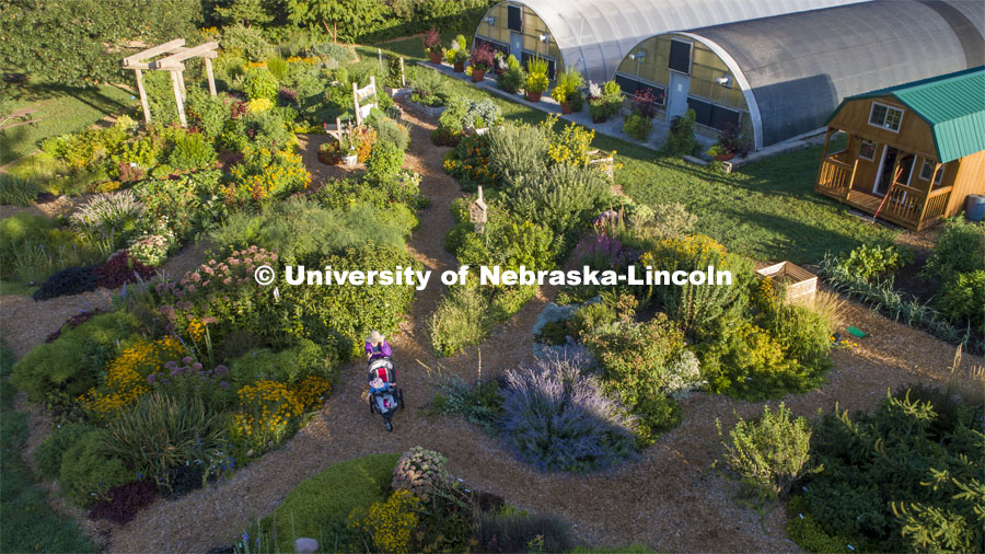 Backyard Farmer Garden on east campus. August 13, 2019. Photo by Craig Chandler / University Communication.