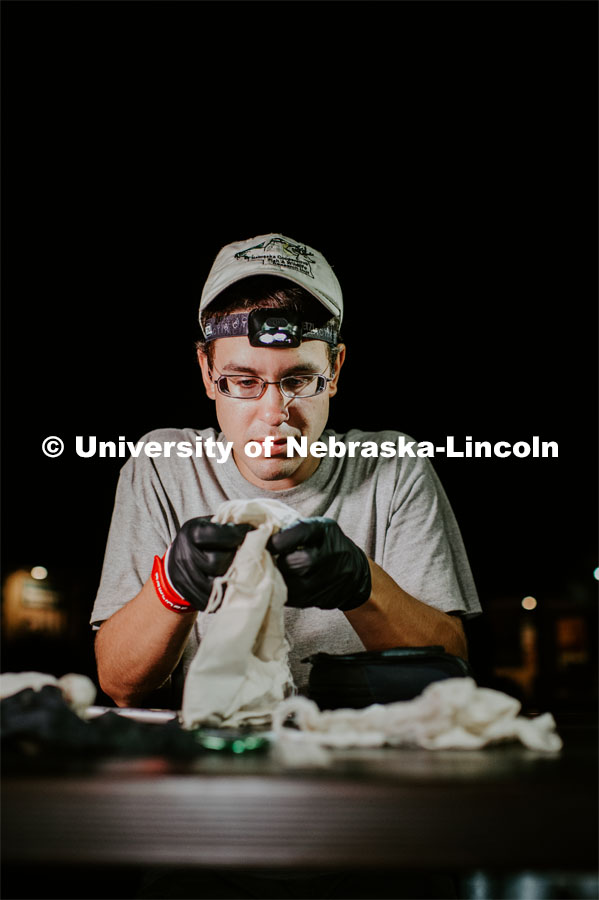 Nebraska graduate student Christopher Fill is studying the patterns of bats living at Homestead National Monument near Beatrice. Christopher working on a bat that they netted. August 19, 2019. Photo by Justin Mohling / University Communication.