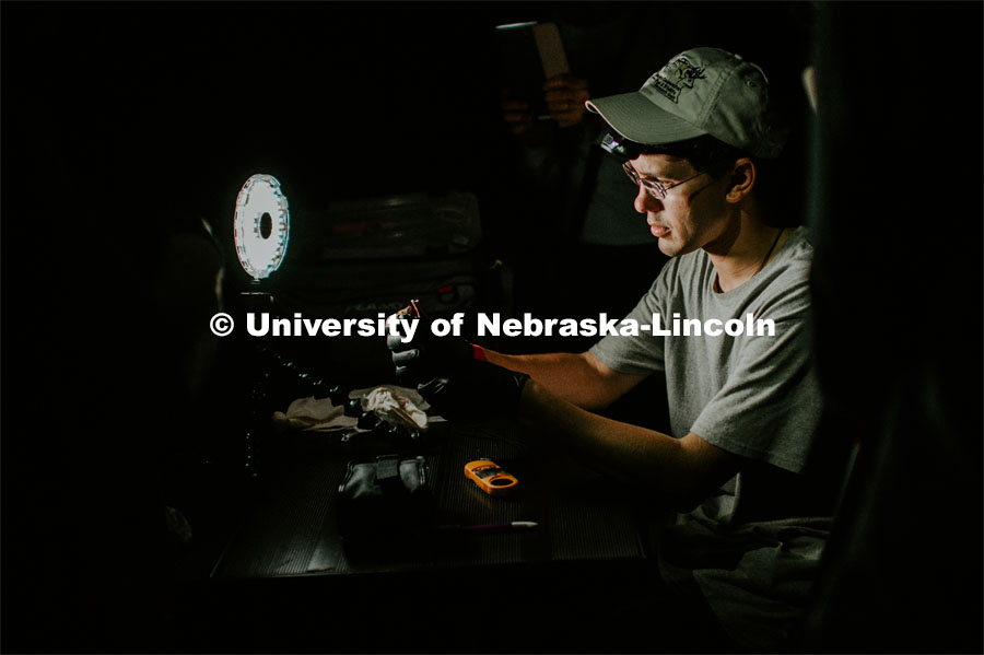 Nebraska graduate student Christopher Fill is studying the patterns of bats living at Homestead National Monument near Beatrice. Christopher working on a bat that they netted. August 19, 2019. Photo by Justin Mohling / University Communication.