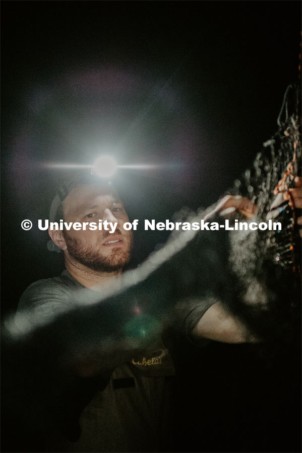 Nebraska graduate student Christopher Fill is studying the patterns of bats living at Homestead National Monument near Beatrice. Ben Hale prepping the nets for release. August 19, 2019. Photo by Justin Mohling / University Communication.