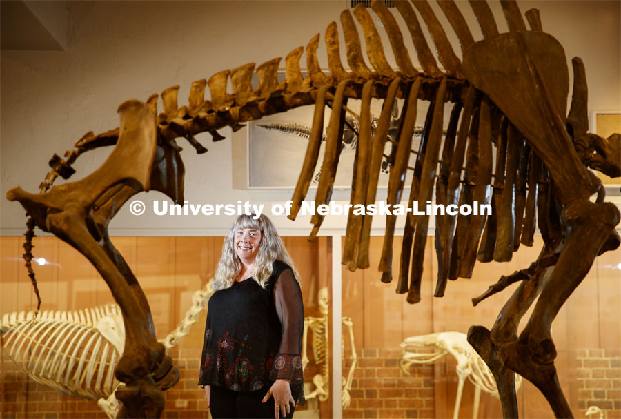 The University of Nebraska–Lincoln's Kate Lyons stands next to a skeleton of Gigantocamelus spatulus, an extinct species of camel that weighed upward of 5,000 pounds and once roamed North America. The skeleton resides in the Nebraska State Museum at Morrill Hall. Kate Lyons, Assistant, Professor in the School of Biological Sciences, is being published in Science magazine documenting her research on extinction events. She studied ancient horses and camels. September 17, 2019. Photo by Craig Chandler / University Communication.