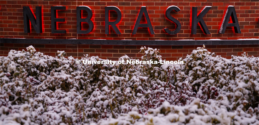 University of Nebraska sign outside of the Van Brunt Visitors Center, first snow. Snow covered bushes. October 29, 2019. Photo by Craig Chandler / University Communication.