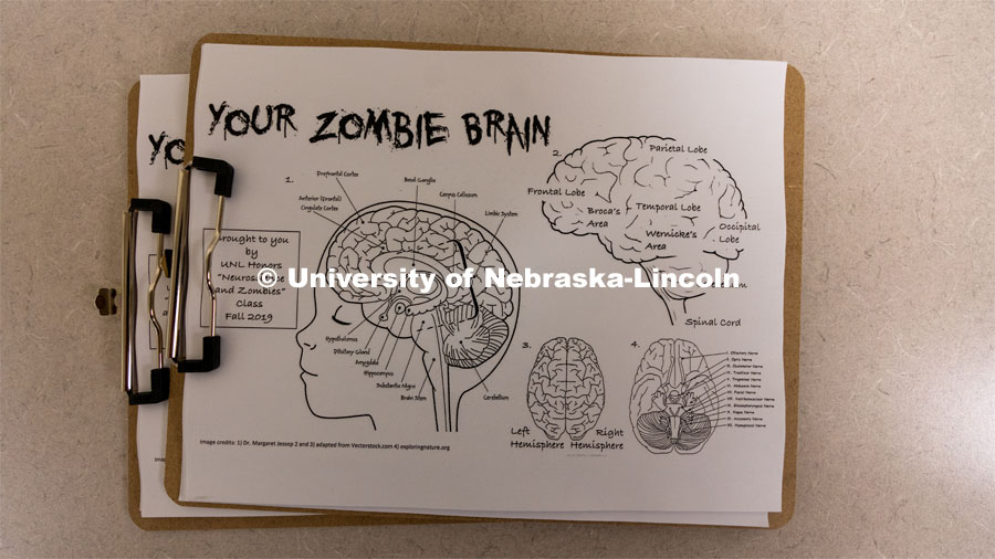 The "Learn to Walk like a Zombie" project was held during the Honors Halloween Bash in Knoll Residence Hall. October 29, 2019. Photo by Justin Mohling / University Communication.