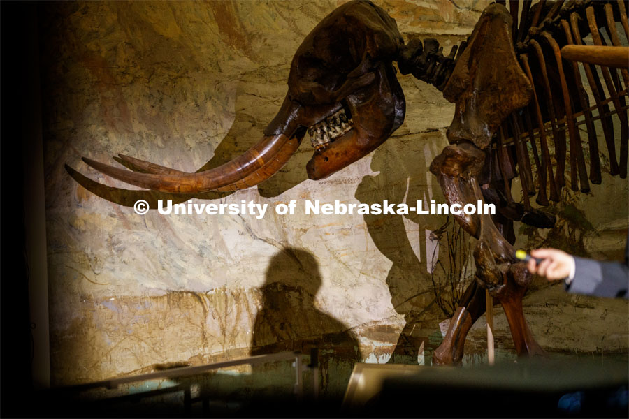 Ross Secord shadow is cast on the wall under the watchful eye of a skeleton in the museum's Elephant Hall. Ross Secord's lecture, Looking Back and Looking Forward: The History of Vertebrate Paleontology at the University of Nebraska State Museum, was given at the Nebraska State Museum. January 28, 2020. Photo by Craig Chandler / University Communication.