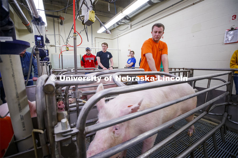 Students in ASCI 150 - Animal Production Skills. March 12, 2020. Photo by Craig Chandler / University Communication