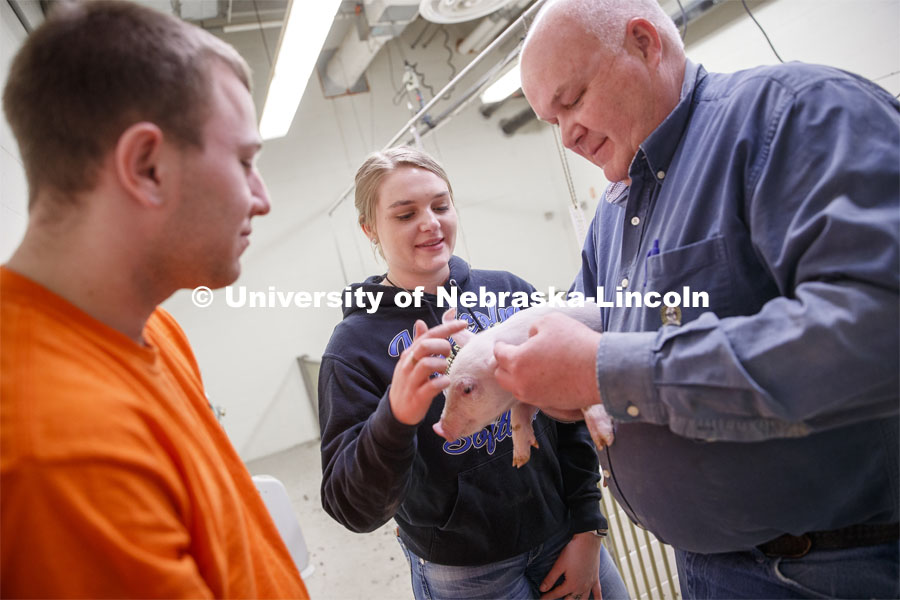 Clayton Thomas (left), freshman in Animal Science from Bloomington, IL, and Laura Reiling (middle), freshman in Animal Science from Malcom, NE, discuss a baby pig with Bryan Reiling, associate professor in Animal Science. Students in ASCI 150 - Animal Production Skills. March 12, 2020. Photo by Craig Chandler / University Communication.