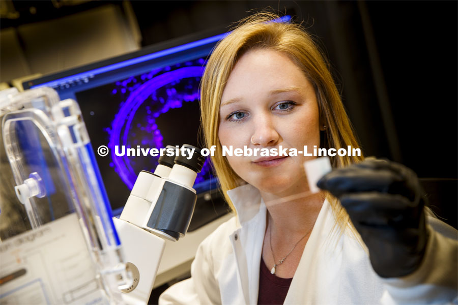 Morgan Schake examines a slide. She is a graduate student in the lab of Ryan Pedrigi, Assistant Professor in Department of Mechanical and Materials Engineering, College of Engineering. March 13, 2020. Photo by Craig Chandler / University Communication.