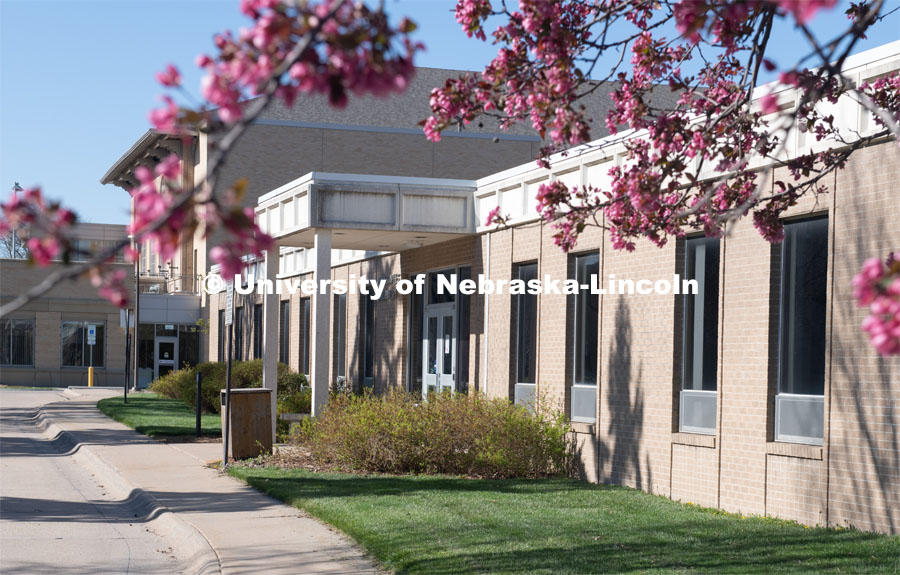 Spring trees and flowers bloom on East Campus near Ruth Staples Child Development Lab. April 21, 2020. Photo by Gregory Nathan / University Communication.