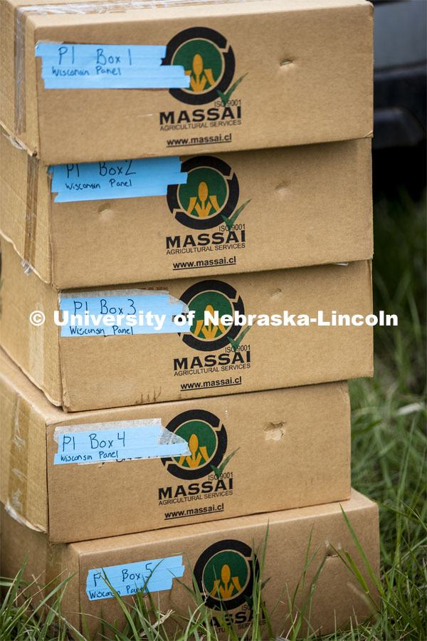 Boxes full of seed packets await their turn for planting. James Schnable corn research group plants at agronomy fields at 84th and Havelock in northeast Lincoln. Schnable’s lab studies grain DNA to find the best varieties for breeding and genetic modification to help with traits including yields and drought resistance. The 2.5-acre plot was being planted with 752 genotypes in 1680 precisely randomized plots. To plant those plots along with a check genotype, the researchers used 1860 packets of seeds manually poured into a hopper every 7 seconds while sitting atop a custom research planter. May 6, 2020. Photo by Craig Chandler / University Communication.