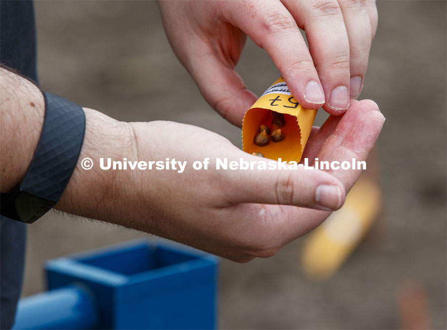 James Schnable pours corn kernels into his hand for the next row of planting. East Campus ag fields. May 20, 2020. Photo by Craig Chandler / University Communication.