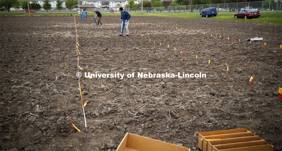 Guangchao Sun plants his section of the field. James Schnable's group hand plants corn and sorghum seeds at the East Campus ag fields. May 20, 2020. Photo by Craig Chandler / University Communication.
