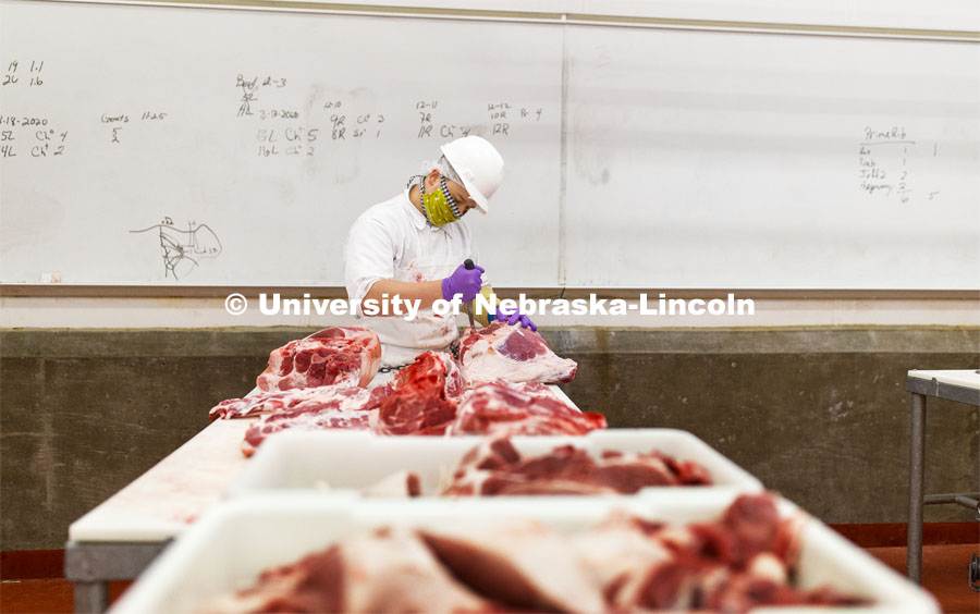 David Velazco, a masters student in Animal Science, cuts a pork carcass Thursday. UNL's Loeffel Meat Laboratory in partnership with the Nebraska Pork Producers Association Pork Cares program process more than 1500 pounds of pork for the Food Bank for the Heartland in Omaha. This is the second donation being processed for food banks. Friends and family of Bill and Nancy Luckey of Columbus donated the pigs. The first donation went to the Lincoln Food Bank. The pigs were harvested and processed at the east campus meat lab. May 28, 2020. Photo by Craig Chandler / University Communication.