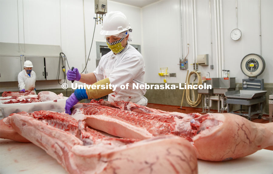 David Velazco, a masters student in Animal Science, cuts a pork carcass Thursday. UNL's Loeffel Meat Laboratory in partnership with the Nebraska Pork Producers Association Pork Cares program process more than 1500 pounds of pork for the Food Bank for the Heartland in Omaha. This is the second donation being processed for food banks. The first donation went to the Lincoln Food Bank. Friends and family of Bill and Nancy Luckey of Columbus donated the pigs. The pigs were harvested and processed at the east campus meat lab. May 28, 2020. Photo by Craig Chandler / University Communication.