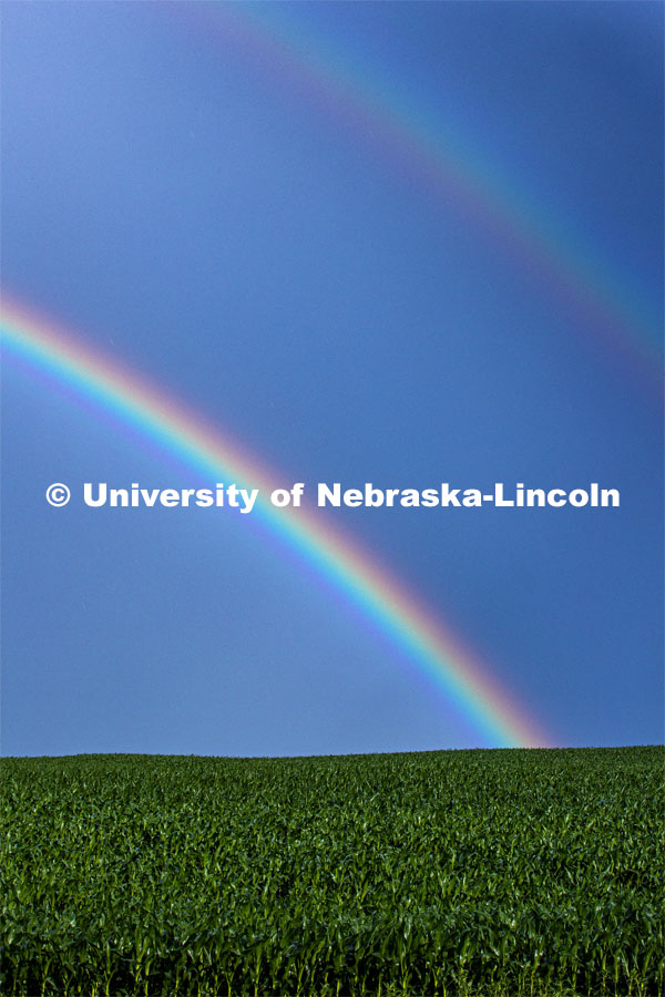 Rural landscape of a double rainbow over a corn field north of Adams, NE. June 22, 2020. Photo by Craig Chandler / University Communication.