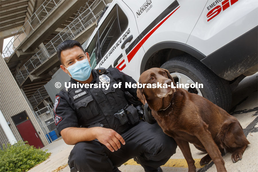 Officer Anderson Delgado, and K-9, Justice pose next to a cruiser. Officer Delgado is wearing a mask for protection as a result of the COVID-19 pandemic. UNL Police Department. June 23, 2020. Photo by Craig Chandler / University Communication.