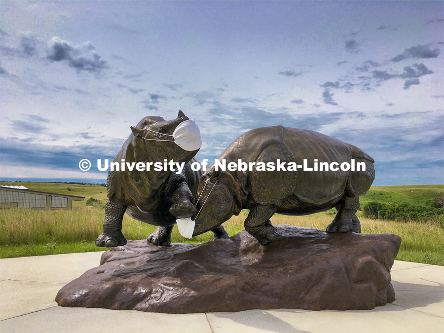 Ashfall rhinos, a sculpture by artist Gary Staab our outfitted with masks to welcome visitors to Ashfall Fossil Beds State Historical Park. Ashfall Fossil Beds State Historical Park in north central Nebraska. August 2, 2019. Photo provided.