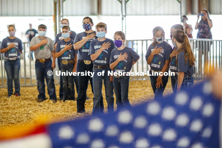 Participants in the sheep show at the Platte County Fair in Columbus, NE, pledge allegiance to the flag before the start of the show. The fair changed this year because of COVOD-19. Each livestock/animal show is a “show and go” format where 4-H'ers don't stay in the livestock barns as is tradition but transport their animals on the day of the show and work out their livestock trailers. Participants must wear a mask in the show ring. July 10, 2020. Photo by Craig Chandler / University Communication.