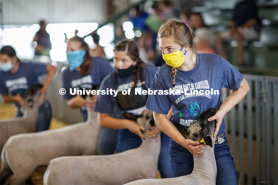Abigail Lutjelusche of Columbus, Nebraska, eyes the judge during the sheep showmanship competition at the Platte County Fair in Columbus, NE. The fair changed this year because of COVOD-19. Each livestock/animal show is a “show and go” format where 4-H'ers don't stay in the livestock barns as is tradition but transport their animals on the day of the show and work out their livestock trailers. Participants must wear a mask in the show ring. July 10, 2020. Photo by Craig Chandler / University Communication.