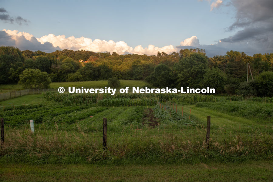 Cooper Farm, Omaha, Nebraska. July 21, 2020. Photo by Gregory Nathan / University Communication.