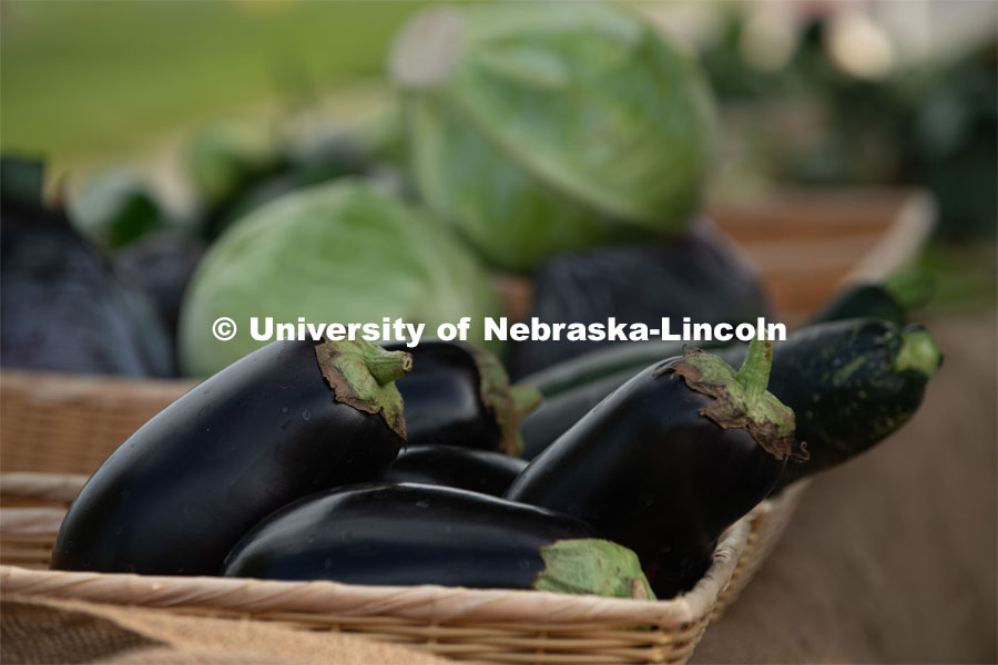 Eggplant and cabbage for sale at the Fallbrook Farmers Market in northwest Lincoln, Nebraska. July 23, 2020. Photo by Gregory Nathan / University Communication.