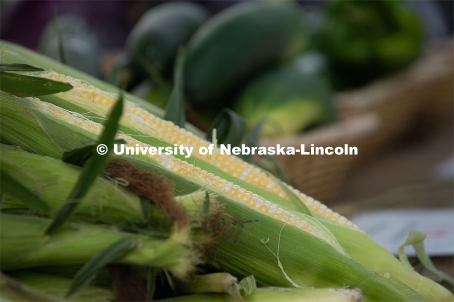 Ears of corn for sale at the Fallbrook Farmers Market in northwest Lincoln, Nebraska. July 23, 2020. Photo by Gregory Nathan / University Communication.