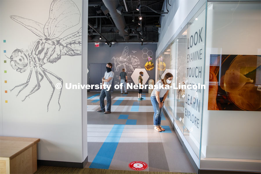 People social distance at the Nebraska State Museum in Morrill Hall. The museum will open August 5 with new procedures to keep patrons healthy and safe. July 29, 2020. Photo by Craig Chandler / University Communication.