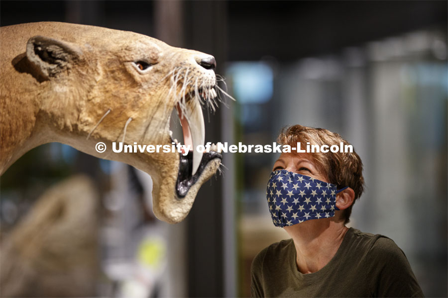 Pam Sniff looks over a maskless Barbourofelis fricki in the new Cherish Nebraska hall. Nebraska State Museum in Morrill Hall will open August 5 with new procedures to keep patrons healthy and safe. July 29, 2020. Photo by Craig Chandler / University Communication.