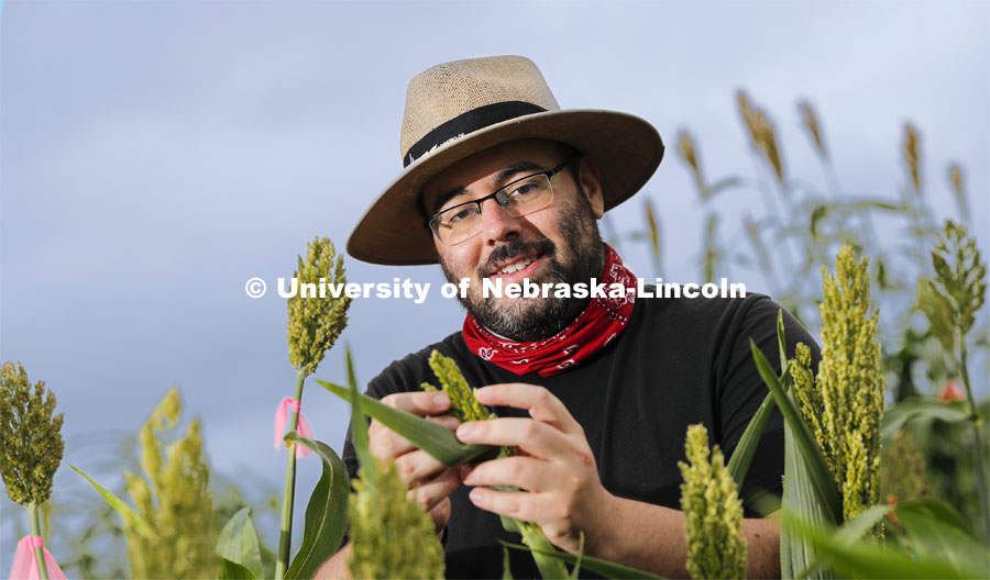 James Schnable recently earned a $2.7 million, three-year grant from the U.S. Department of Energy to develop a rapid, efficient method for characterizing the functions of genes in sorghum. August 7, 2020. Photo by Craig Chandler / University Communication.