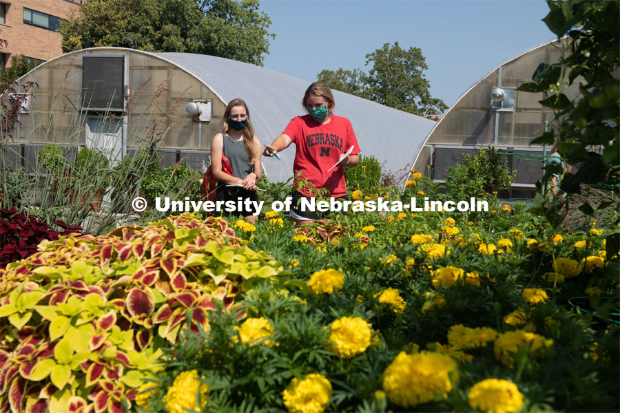 Samatha Clapper (in red) and Emily Steinauer discuss their observation of flowers in their Hort 214 herbaceous id class. The class is given by Kim Todd in the Backyard Farmer Garden on East Campus. First day of in-person learning for the fall semester. August 24, 2020. Photo by Gregory Nathan / University Communication.